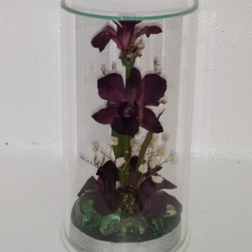 Accent_Orchid